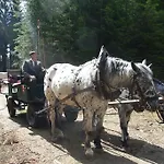 Gæstehus & Reitstall Inghofer 3*