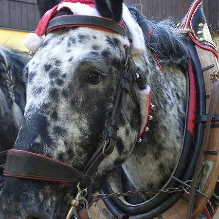 Pensjonat & Reitstall Inghofer Heidenreichstein