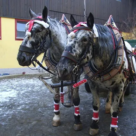 Pensjonat & Reitstall Inghofer 3*