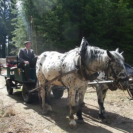 Pensjonat & Reitstall Inghofer 3*