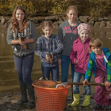& Reitstall Inghofer Pensjonat Heidenreichstein