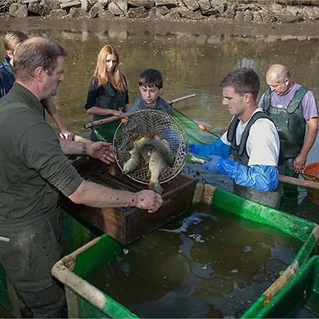 Pensjonat & Reitstall Inghofer
