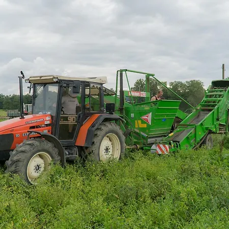 & Reitstall Inghofer 3*