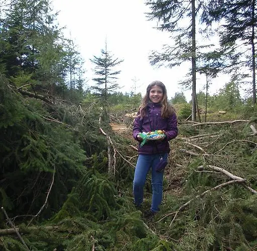 Casa de hóspedes & Reitstall Inghofer