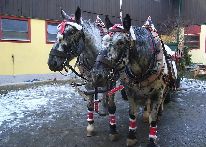 Casa de hóspedes & Reitstall Inghofer 3*