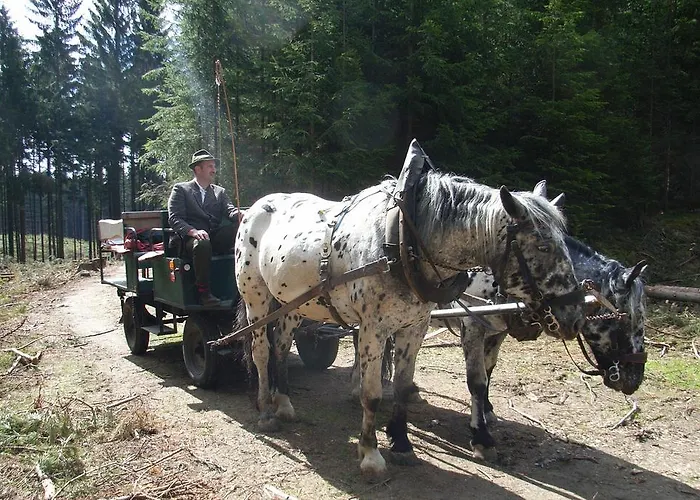 Casa de hóspedes & Reitstall Inghofer 3*