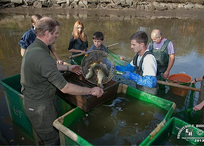 Casa de hóspedes & Reitstall Inghofer