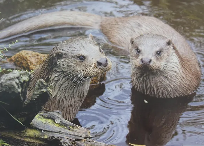 Casa de hóspedes & Reitstall Inghofer